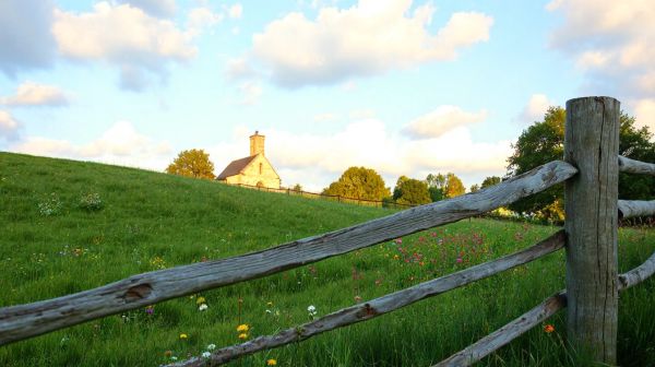 Top conseils pour sélectionner un paysagiste à Saint-Cyr-le-Gravelais